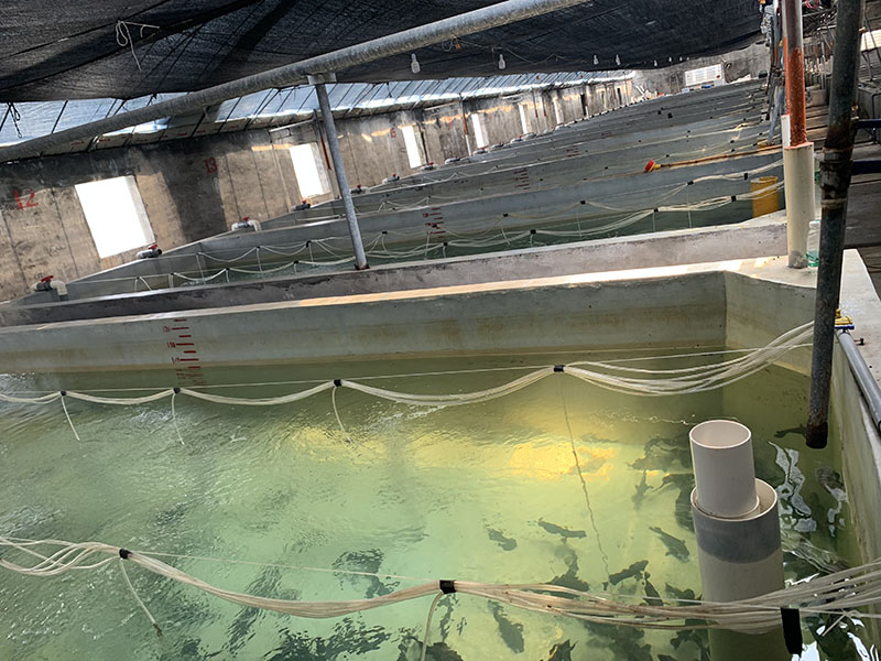 灰色水性養(yǎng)殖漆