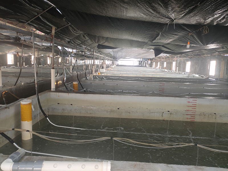 灰色水性養(yǎng)殖漆