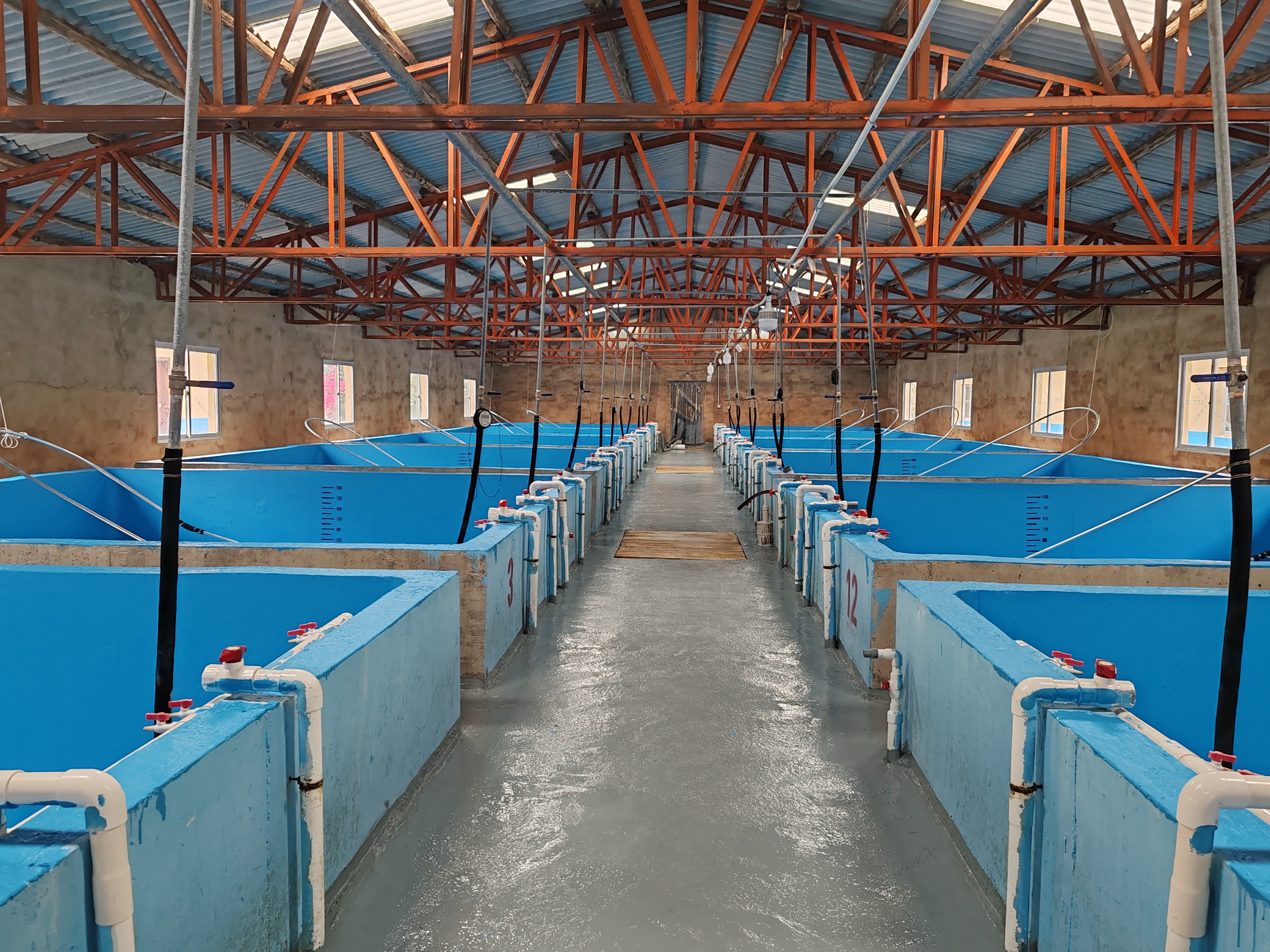 水性養殖漆施工案例