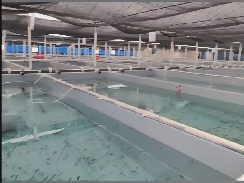 水產(chǎn)養(yǎng)殖漆案例