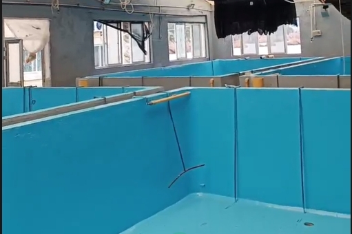 水產(chǎn)養(yǎng)殖漆案例